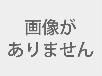 チャンダニ守山店 ランチセット
